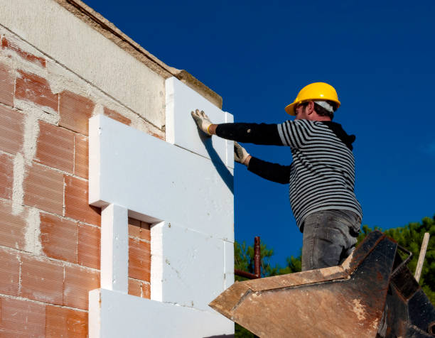 Insulation Replacement Services in Martinez, GA