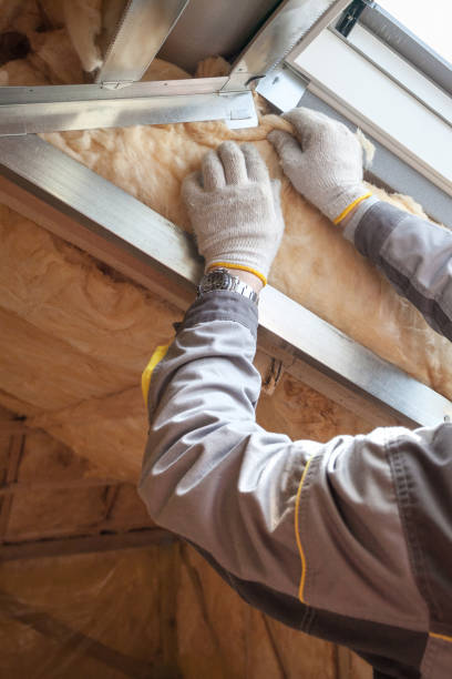 Best Insulation Removal  in Martinez, GA