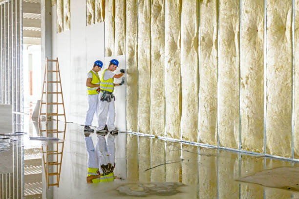 Best Affordable Insulation Services  in Martinez, GA